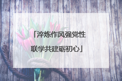 淬炼作风强党性 联学共建砺初心