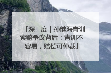 深一度｜孙继海青训索赔争议背后：青训不容易，赔偿可仲裁