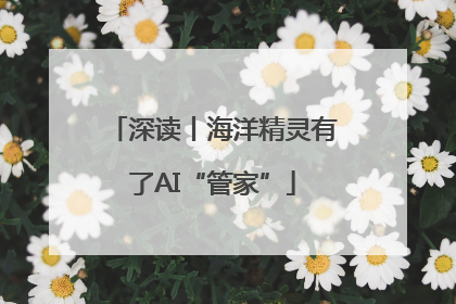 深读丨海洋精灵有了AI“管家”