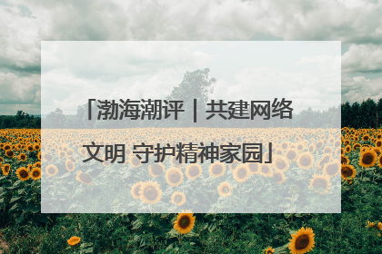 渤海潮评｜共建网络文明 守护精神家园
