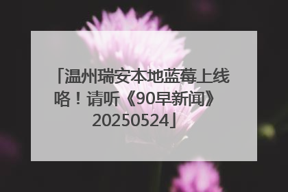 温州瑞安本地蓝莓上线咯！请听《90早新闻》20250524
