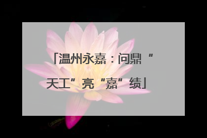 温州永嘉：问鼎“天工”亮“嘉”绩