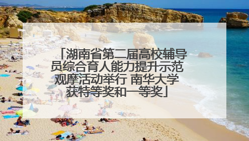 湖南省第二届高校辅导员综合育人能力提升示范观摩活动举行 南华大学获特等奖和一等奖