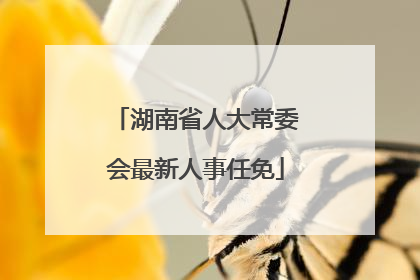湖南省人大常委会最新人事任免