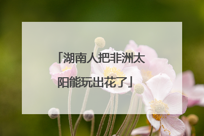 湖南人把非洲太阳能玩出花了
