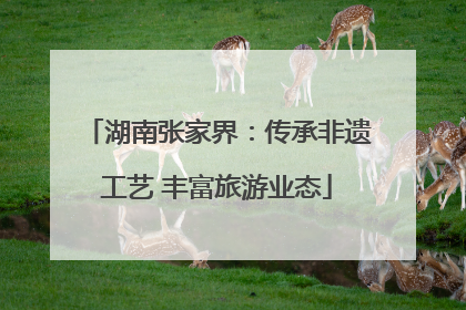 湖南张家界：传承非遗工艺 丰富旅游业态