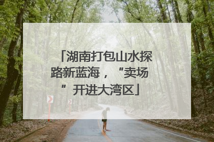 湖南打包山水探路新蓝海，“卖场”开进大湾区