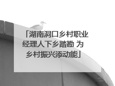 湖南洞口乡村职业经理人下乡踏勘 为乡村振兴添动能