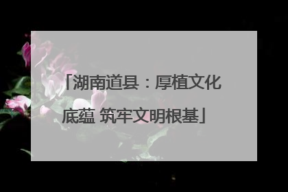 湖南道县：厚植文化底蕴 筑牢文明根基