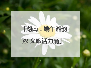 湖南：端午湘韵浓 文旅活力涌