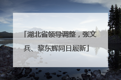 湖北省领导调整，张文兵、黎东辉同日履新