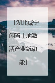 湖北咸宁闲置土地激活产业新动能