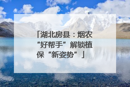 湖北房县：烟农“好帮手”解锁植保“新姿势”
