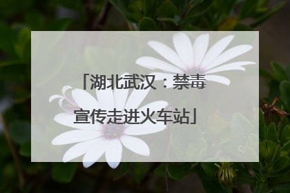 湖北武汉：禁毒宣传走进火车站