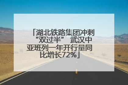 湖北铁路集团冲刺“双过半” 武汉中亚班列一年开行量同比增长72%