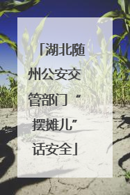 湖北随州公安交管部门“摆摊儿”话安全