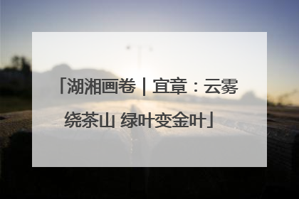 湖湘画卷｜宜章：云雾绕茶山 绿叶变金叶