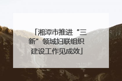 湘潭市推进“三新”领域妇联组织建设工作见成效