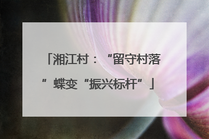 湘江村：“留守村落”蝶变“振兴标杆”