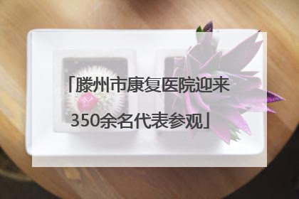 滕州市康复医院迎来350余名代表参观