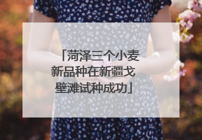 菏泽三个小麦新品种在新疆戈壁滩试种成功
