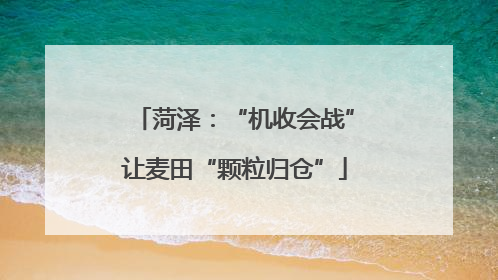 菏泽：“机收会战”让麦田“颗粒归仓”