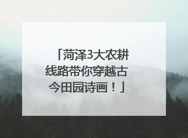 菏泽3大农耕线路带你穿越古今田园诗画！