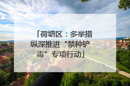 荷塘区：多举措纵深推进“禁种铲毒”专项行动