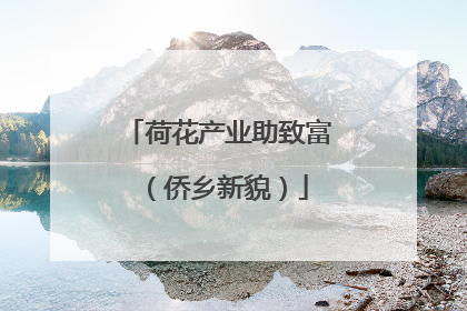 荷花产业助致富（侨乡新貌）