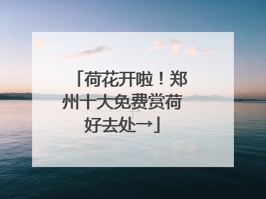 荷花开啦！郑州十大免费赏荷好去处→