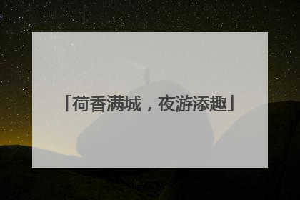 荷香满城，夜游添趣