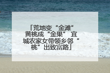 荒地变“金滩” 黄桃成“金果” 宜城农家女带领乡邻“桃”出致富路