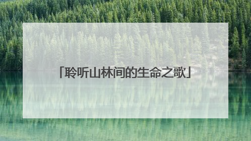 聆听山林间的生命之歌