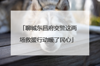聊城东昌府交警这两场救援行动暖了民心