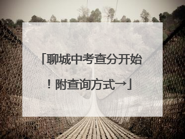 聊城中考查分开始！附查询方式→