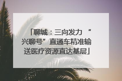 聊城：三向发力 “兴聊号”直通车精准输送医疗资源直达基层