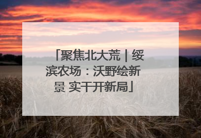 聚焦北大荒｜绥滨农场：沃野绘新景 实干开新局