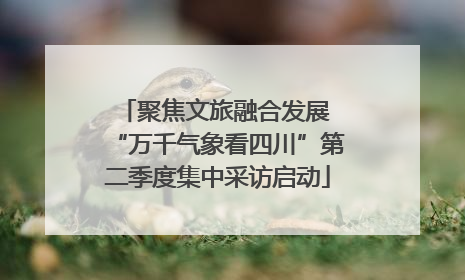 聚焦文旅融合发展 “万千气象看四川”第二季度集中采访启动