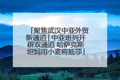 聚焦武汉中亚外贸新通道│中亚班列开辟双通道 哈萨克斯坦饲用小麦将抵鄂