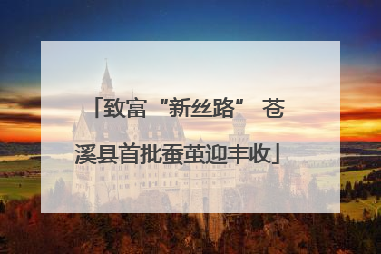 致富“新丝路” 苍溪县首批蚕茧迎丰收