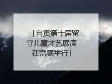 自贡第十届留守儿童才艺展演在富顺举行
