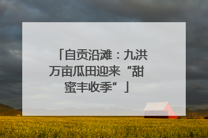 自贡沿滩：九洪万亩瓜田迎来“甜蜜丰收季”