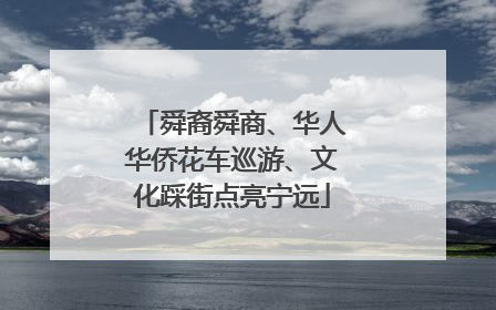 舜裔舜商、华人华侨花车巡游、文化踩街点亮宁远