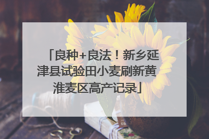 良种+良法！新乡延津县试验田小麦刷新黄淮麦区高产记录