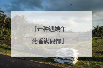 芒种遇端午 药香满夏都