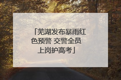 芜湖发布暴雨红色预警 交警全员上岗护高考
