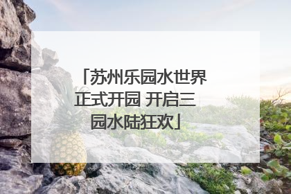 苏州乐园水世界正式开园 开启三园水陆狂欢