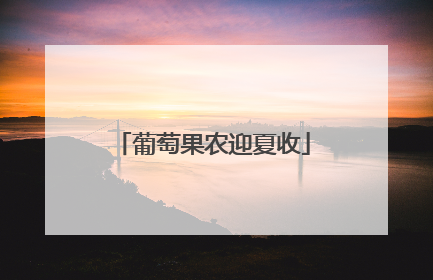 葡萄果农迎夏收