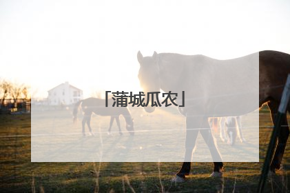 蒲城瓜农