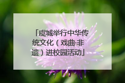 虞城举行中华传统文化（戏曲·非遗）进校园活动